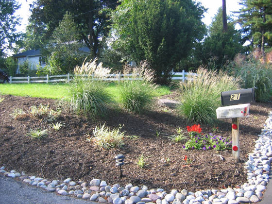mailboxlandscape.jpg