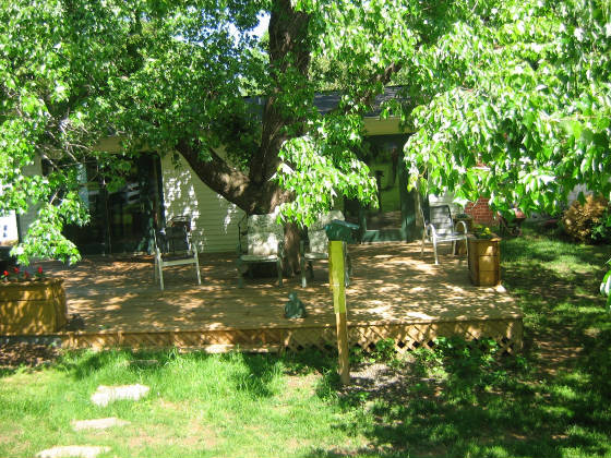 rearyard.jpg