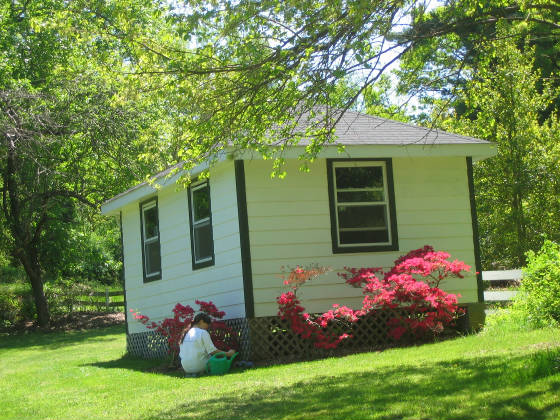 shed.jpg